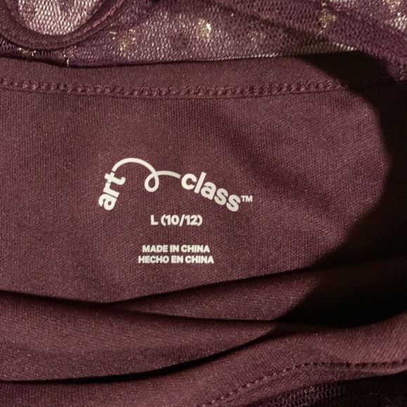 ART Class Girl Dress Size L (10-12). Sheer with Lining- Like New Dress. - Picture 10 of 11